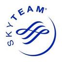 logo of Skyteam