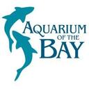 logo of Aquarium Of The Bay