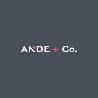 ande + co. logo image