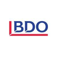 bdo management consulting services