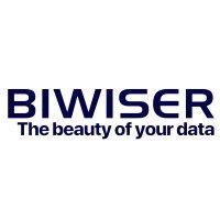 biwiser group logo image