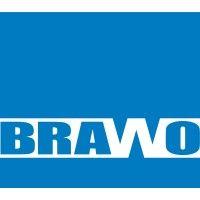 brawo s.p.a. logo image