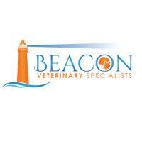 beacon veterinary specialists logo image