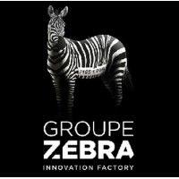 groupe zebra logo image