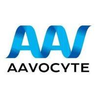 aavocyte inc.