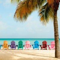 bahamas bimini bay vacation rentals logo image