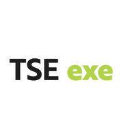 tse exe - executive education logo image