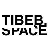 tibeb.space logo image