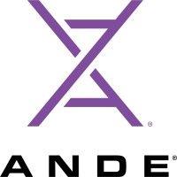 ande rapid dna logo image