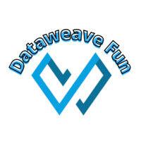 dataweave fun logo image