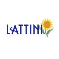 lattini logo image