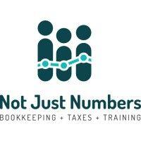 not just numbers inc logo image