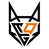 teamorangegaming logo image