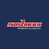 sostmeier group logo image