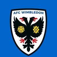 afc wimbledon foundation logo image