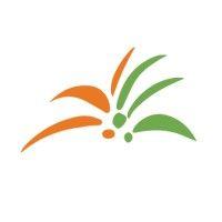 palm point behavioral health logo image