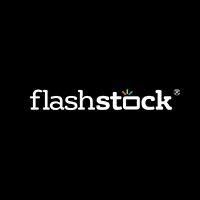 flashstock logo image