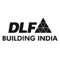 dlf logo image