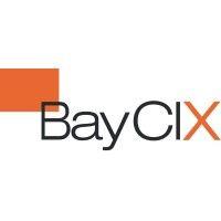 baycix gmbh logo image