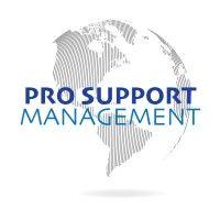 pro support management logo image