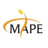 mape advisory group logo image