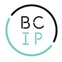 bresner cammareri ip - bcip logo image