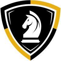 advanced protective services logo image