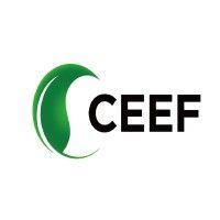 sino-ceef capital logo image