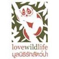 love wildlife foundation logo image