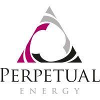 perpetual energy inc. logo image