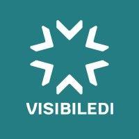 visibiledi logo image