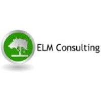 elm consulting (uk) ltd logo image