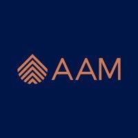 aam investment group logo image