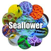 seaflower logo image