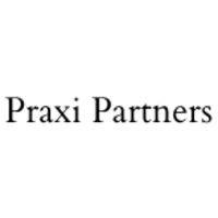 praxi partners gmbh logo image