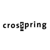 crosspring b.v. logo image