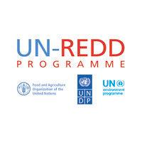 un-redd programme logo image