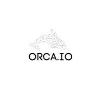 orca.io logo image