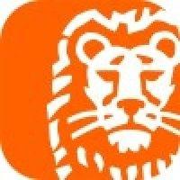 ing logo image