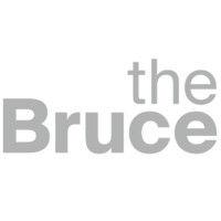 bruce museum logo image