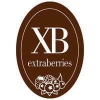 extraberries logo image