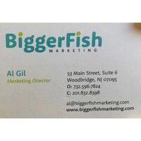 biggerfish marketing logo image