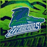 florida everblades professional hockey club