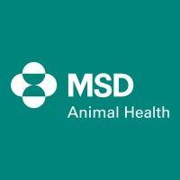 msd animal health ireland logo image