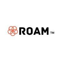 roam toothbrush logo image