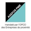 logo of Agefos Pme