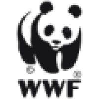 wwf-china logo image