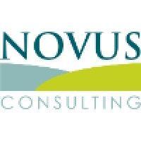 novus consulting (uk) llp logo image