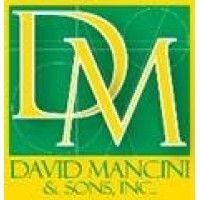 david mancini & sons, inc. logo image