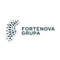 fortenova grupa logo image